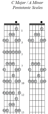 C major chords and scale for the six string bass